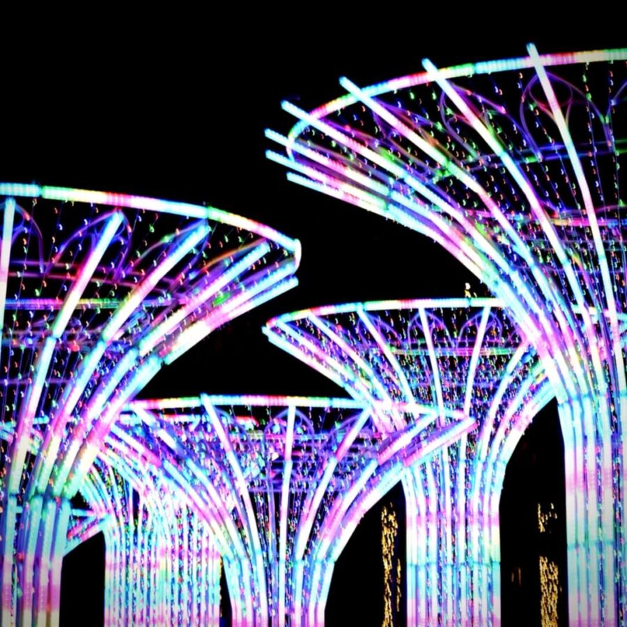 Christmas lights display, photographed while they were cycling through pink, purple, and blue. It’s giving unicorn vibes.