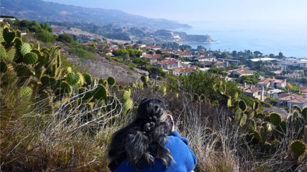 Photo of the author from behind, squatting down low to take a landscape photo in Palos Verdes. Taken in December 2024.